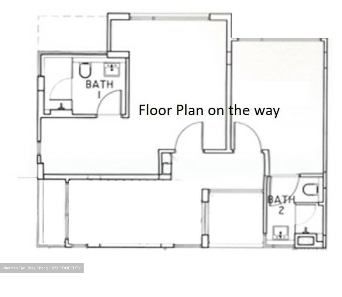 Leedon Park (D10), Detached #498653221